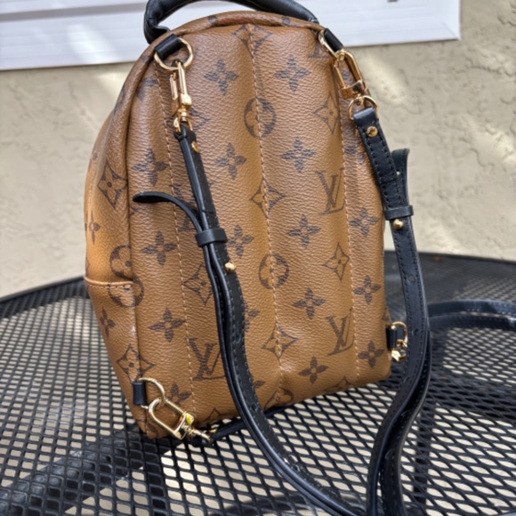 Palm Springs Mini - Picture 2 of 4